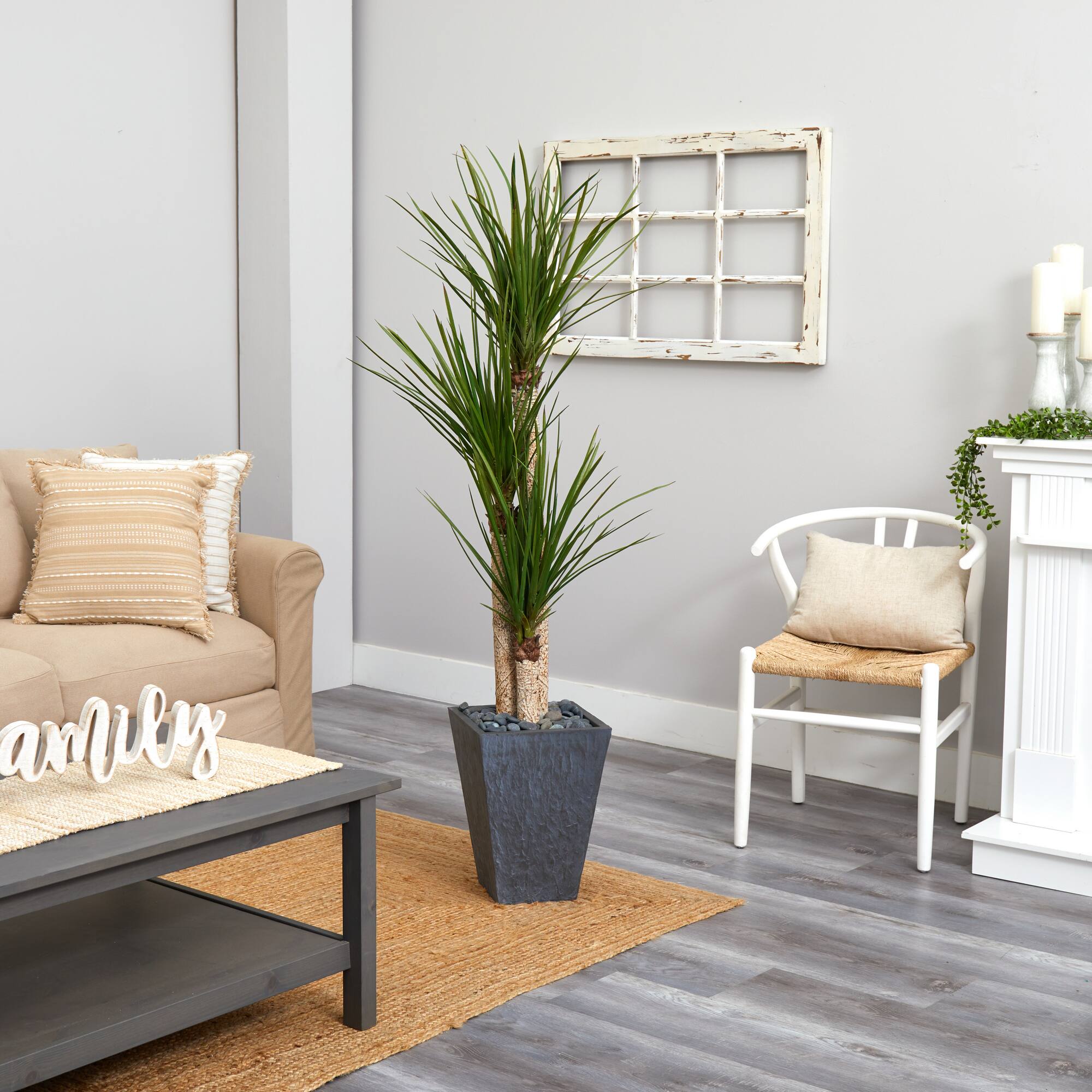 5.5ft. Triple Stalk Yucca Plant in Slate Planter